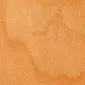 Beuken SP