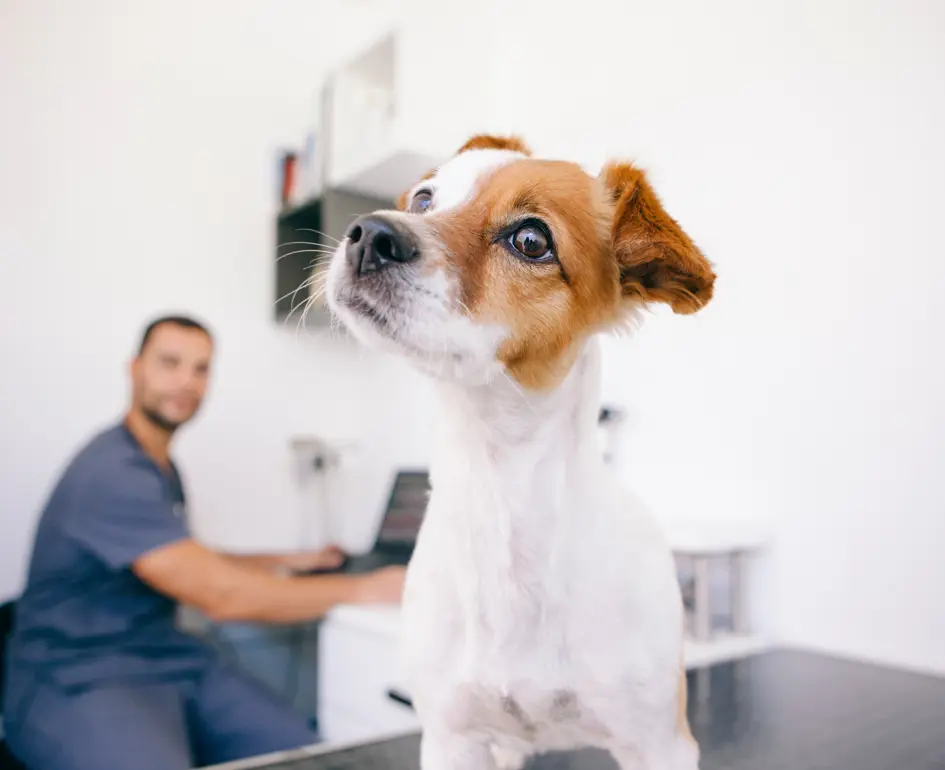 Adobestock 224255803 (1)